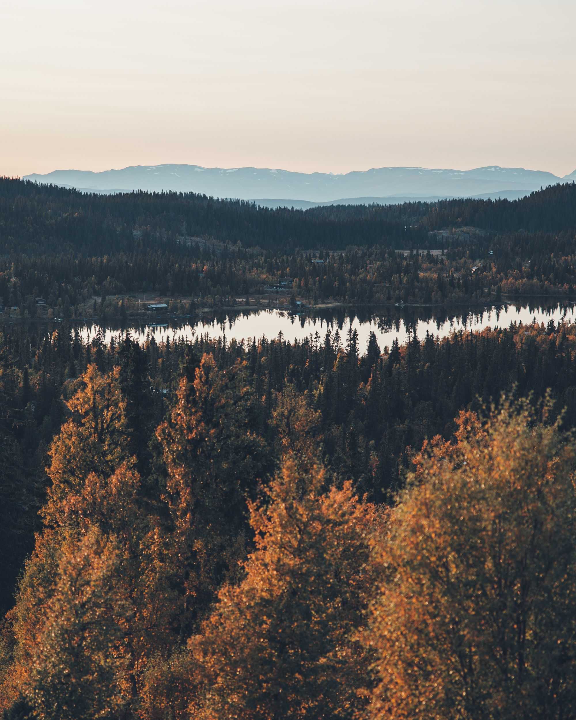 Utsikt mot Damtjern og Jotunheimen.